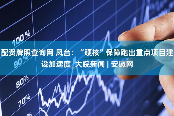 配资牌照查询网 凤台：“硬核”保障跑出重点项目建设加速度_大皖新闻 | 安徽网