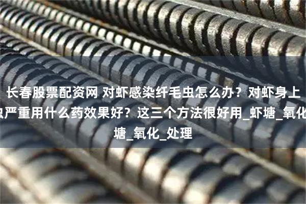 长春股票配资网 对虾感染纤毛虫怎么办？对虾身上纤毛虫严重用什么药效果好？这三个方法很好用_虾塘_氧化_处理